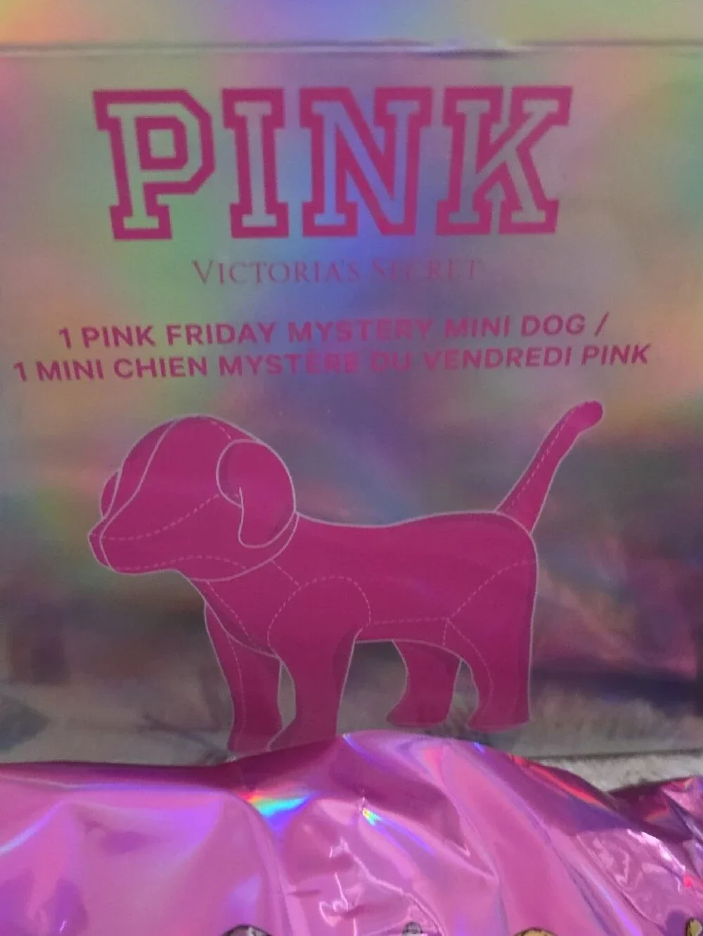 PINK Victoria's Secret Kids Plush Dog Accessory - Pink